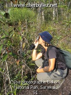légende: Isa photographe Bako National Park Sarawak 01
qualityCode=raw
sizeCode=half

Données de l'image originale:
Taille originale: 189037 bytes
Temps d'exposition: 1/600 s
Diaph: f/560/100
Heure de prise de vue: 2002:09:12 16:37:07
Flash: non
Focale: 42/10 mm
